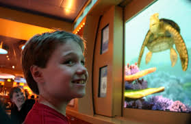 Things to Know Before Booking Your Family Cruise: Tips From a 12-Year-Old