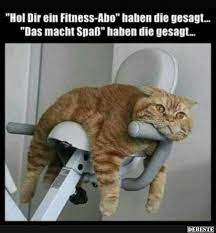 Unglaublich, was für witzte katzenfotos es gibt. Besten Bilder Videos Und Spruche Und Es Kommen Taglich Neue Lustige Facebook Bilder Auf Debeste De Hier Werd Katzen Lustige Spruche Katzen Witze Katze Lustig