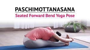 Paschimottanasana Seated Forward Bend Yoga Pose Steps Benefits Yogic Fitness Https Cstu Io 21003f Yoga Poses Bend Yoga Yoga For Seniors