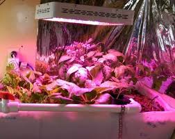 Marshydro Mars300 300w Led Grow Light Review