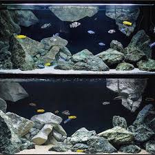 We are currently the malaysia distributor for ai, ecotech marine, aquarium münst 30 Batu Karang Ideas Aqua Decor 3d Background Aquarium Backgrounds
