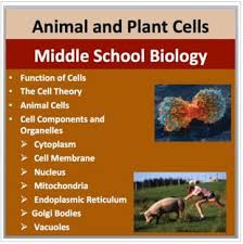 He advanced thecell theory in plants and took the theory over to animals. Animal And Plant Cells A Middle School Biology Lesson