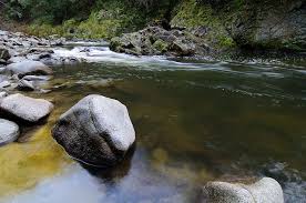 Garden Of Eden Santa Cruz Mountains Santa Cruz Mountains Santa Cruz Fun Things To Do