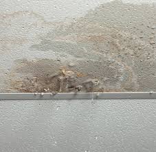 Find independent roofing contractors in the owens corning roofing contractor network near mobile, alabama, and request a quote for your roof replacement or repair. Roofing Contractor In Lowell Ma Constitution Contracting