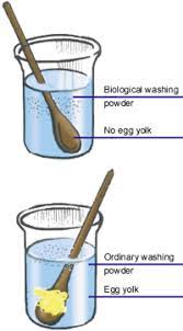 *1 dose of tide he turbo in quick cycle vs. Enzymes In Washing Powder Www Macj Com Br