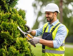 Tree Trimming Portland OR - Top Portland Tree Trimming Service