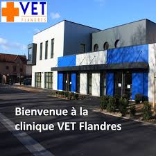 Clinique Vet Flandres