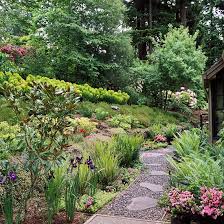 Hillside Landscaping Ideas In 2020 Hillside Landscaping Landscaping A Slope Sloped Garden
