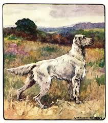 1906 Antique English Setter Dog Print Vintage Vernon Stokes Etsy English Setter Dogs Dog Print Art Dog Art