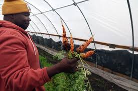 Illinois farmers anxious after ramping up for delayed food program