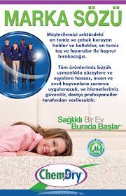 hali ve koltuk yikama profesyonel hizmet evcil hayvanlar halilar koltuklar