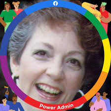 What are some low maintenance perennial shrub or mounding plant ideas for  full afternoon sun?