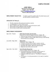 job resume objective statement examples