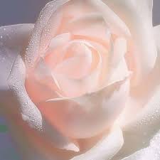 Apr 03, 2022 · free download pastel pink aesthetic computer wallpapers top pastel. Image About Cute In My Faves By Becky On We Heart It