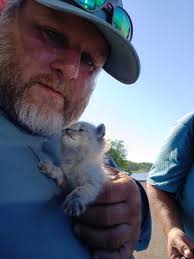 Does this kitty belong to anyone near Amon Creek Elementary?