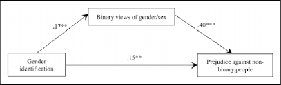 I consider myself both gender nonconforming (relative to my assigned gender, since that's what people perceive me as most of the time) and nonbinary (in. Indirect Effect Of Gender Identification On Prejudice Against Nonbinary Download Scientific Diagram