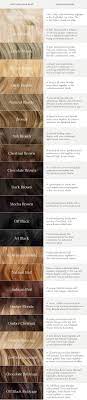Clip In Hair Extensions Ash Blonde Color 60 160 Grams Hair Color Names Luxy Hair Hair Color Guide