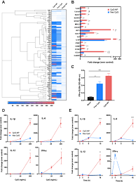 Rr 30/rr 15 < 1.00 33 sympathetic damage 4. Cpg Aid