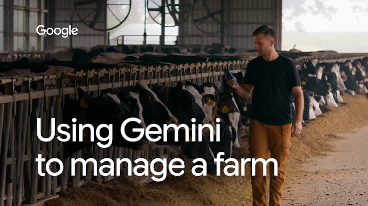 How Gemini 3.6 Flash helped this dairy farmer run his business