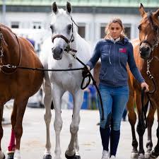 We did not find results for: Horse Manure Can Contribute To Reducing Reliance On Fossil Fuels