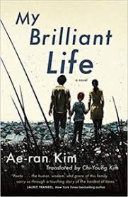 21/3/2021 · sinopsis novel the story of ye chen di dalam kisah kisah. What S New In Translation January 2021 Asymptote Blog