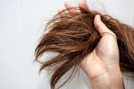 To treat dry hair, apple cider vinegar is very effective. The Best Treatment For Dry Hair Make Your Locks Look Healthy