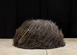 Image result for Mario Merz