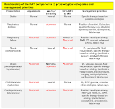 Image result for Pediatric Assessment Triangle