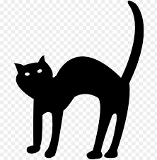 Cartoon Halloween Black Cat Png Image With Transparent Background Toppng Please use search to find more variants of pictures and to choose between available options. cartoon halloween black cat png image