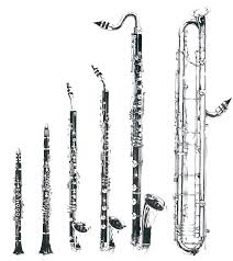 A Huge Picture Of The Clarinet Family From Left E Flat
