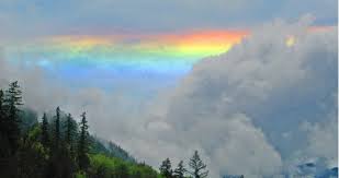 7 colours of the rainbow. How To Remember The Order Of The Rainbow Colors Owlcation Education