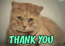 With tenor, maker of gif keyboard, add popular cat thank you animated gifs to your conversations. Cat Animated Gif Cute Thank You
