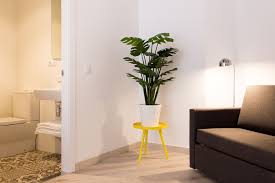 Apartamentos Wallace Valencia, Valencia: Hotel Reviews, Rooms & Prices