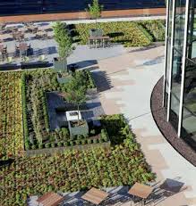 Local 2 Roofers Install Green Roof Oasis in Downtown St. Louis