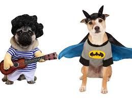 Non bisogna infatti dimenticare che i nostri amici a quattro zampe ci gli eccessi dell'abbigliamento per cani. Costumi Di Carnevale Per Cani E Gatti I Piu Divertenti Per Gli Amici A Quattro Zampe