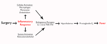 Image result for Postoperative Fever