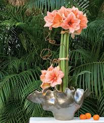 Simple Flower Arrangements Three Flowers Or Less Flower Arrangements Amaryllis Arrangement Amaryllis Flowers
