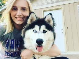 My dog is missing main st area her name is zoey shes 13 yrs old