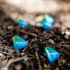 Cembra money bank ag engages in the provision of financial products and services. Cembra Money Bank