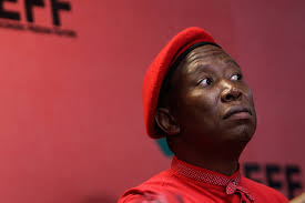 The eff will not be able to survive without its leader julius malema as the party gears for its national conference in. Julius Malema Tells Anc To Leave Zuma To The Eff