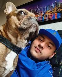 🐶🐽😍♥️... Oreo !!! #bulldogfrances #medellin #frenchie #frenchbulldog  #latino #photography #followforfollowback #likeforlikes #like #followｍe  #love