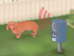 Keep dogs out of your yard with vinegar i read that if you spray the edge of your yard with vinegar, it would deter dogs/cats from coming into your yard. 3 Ways To Keep Dogs Off Your Lawn Wikihow