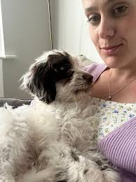 Henry, like everyone