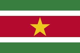 Die flagge surinames wurde am 25. Datei Flag Of Suriname Svg Wikipedia