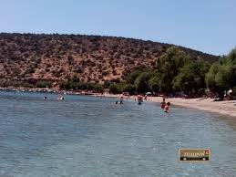 Σε απόσταση μόλις μια ώρα από την αθήνα, βρίσκεται ένας μικρός παραθαλάσσιος οικισμός με την ονομασία παραλία σαράντη. Zeidwron Paralia Saranti Ena Mageytiko Meros Sth Boiwtia Me Pentaka8ara Nera Fwto Binteo