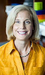 Jennifer Pietenpol, Ph.D.