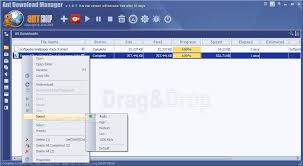 Introduction on internet download manager serial number. Ant Download Manager 1 19 4 Free Key Plus Portable