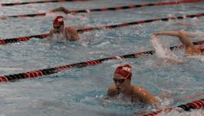 We did not find results for: Denison Swim And Dive Teams Train In Florida Over Winter Break The Denisonian