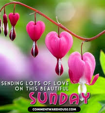 Maybe you would like to learn more about one of these? Sending Love On This Beautiful Sunday Commentwarehouse Say It With A Pic