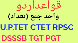 We did not find results for: Urdu Wahid Jama Worksheets For Grade 2 A Worksheet Blog